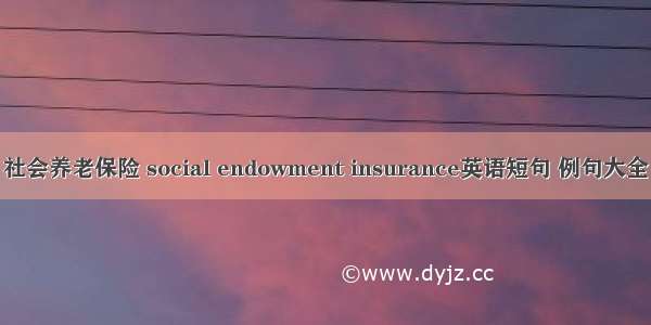 社会养老保险 social endowment insurance英语短句 例句大全