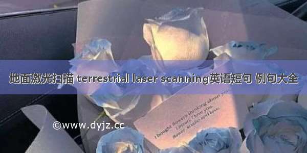 地面激光扫描 terrestrial laser scanning英语短句 例句大全