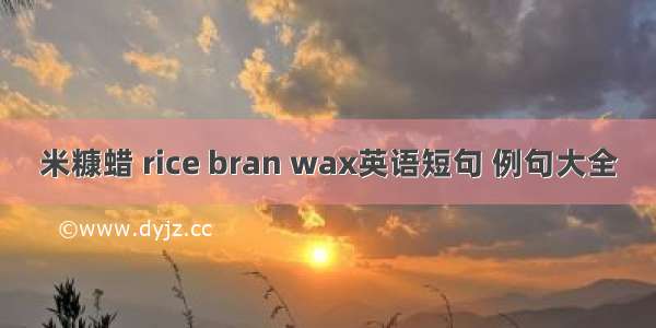 米糠蜡 rice bran wax英语短句 例句大全