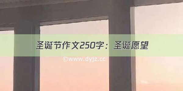 圣诞节作文250字：圣诞愿望