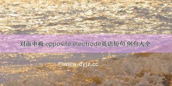 对面电极 opposite electrode英语短句 例句大全