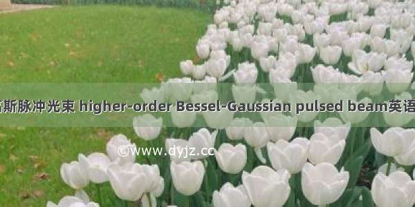 高阶贝塞尔-高斯脉冲光束 higher-order Bessel-Gaussian pulsed beam英语短句 例句大全