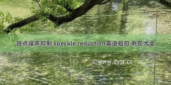 斑点噪声抑制 speckle reduction英语短句 例句大全