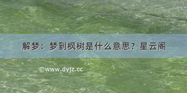 解梦：梦到枫树是什么意思？星云阁