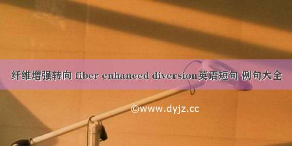 纤维增强转向 fiber enhanced diversion英语短句 例句大全