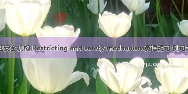 限速安全机构 Restricting and safety mechanism英语短句 例句大全