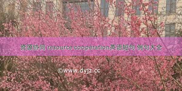 资源协同 resource cooperation英语短句 例句大全