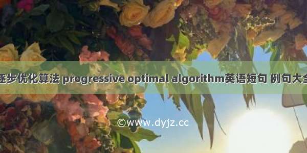 逐步优化算法 progressive optimal algorithm英语短句 例句大全