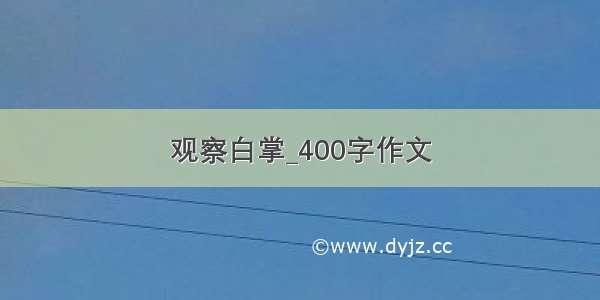 观察白掌_400字作文