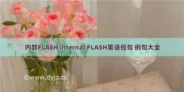 内部FLASH internal FLASH英语短句 例句大全