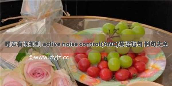 噪声有源抑制 active noise control(ANC)英语短句 例句大全