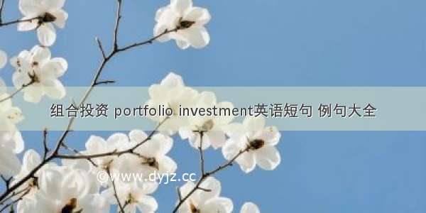 组合投资 portfolio investment英语短句 例句大全