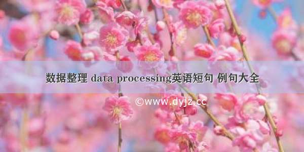 数据整理 data processing英语短句 例句大全