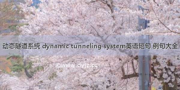 动态隧道系统 dynamic tunneling system英语短句 例句大全