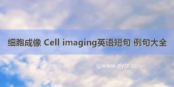 细胞成像 Cell imaging英语短句 例句大全