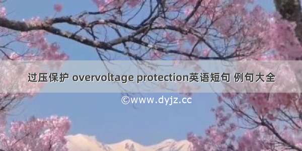 过压保护 overvoltage protection英语短句 例句大全