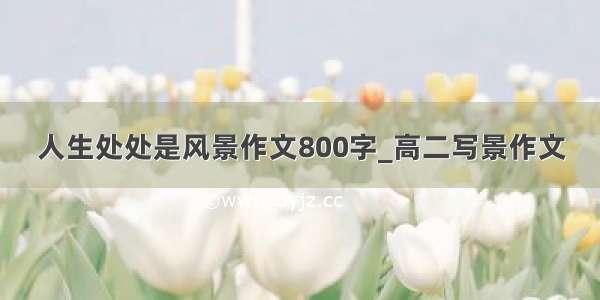 人生处处是风景作文800字_高二写景作文