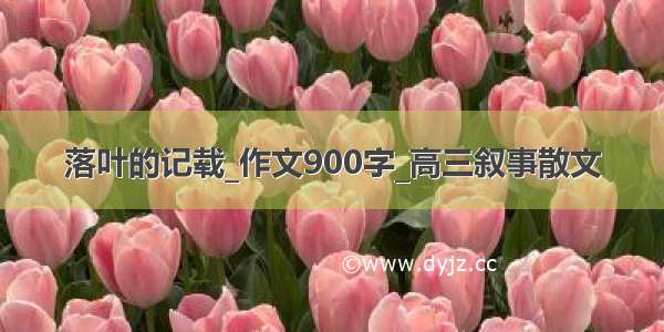 落叶的记载_作文900字_高三叙事散文