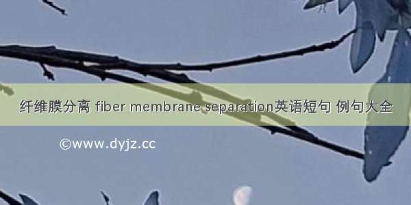 纤维膜分离 fiber membrane separation英语短句 例句大全