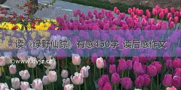 读《绿野仙踪》有感450字_读后感作文