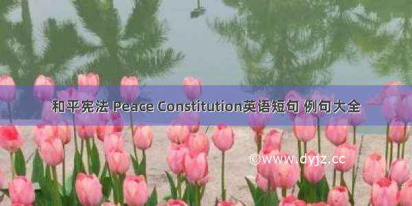 和平宪法 Peace Constitution英语短句 例句大全
