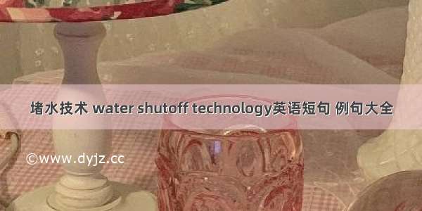 堵水技术 water shutoff technology英语短句 例句大全