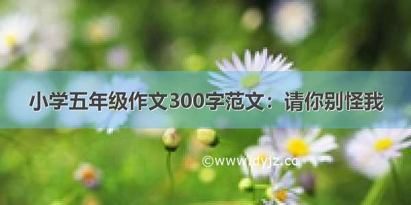 小学五年级作文300字范文：请你别怪我