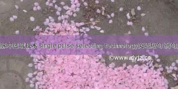 单一脉冲选取技术 single pulse selecting technology英语短句 例句大全