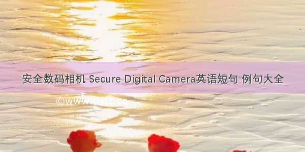 安全数码相机 Secure Digital Camera英语短句 例句大全