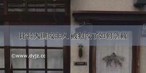 比特犬撕咬主人 被狗咬了如何急救