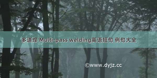 多道焊 Multi-pass welding英语短句 例句大全