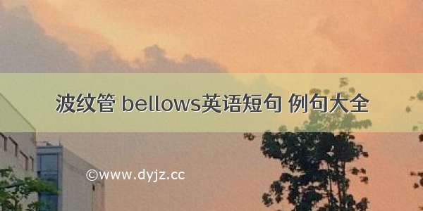 波纹管 bellows英语短句 例句大全