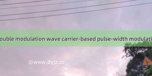 双调制波载波PWM double modulation wave carrier-based pulse-width modulation英语短句 例句大全