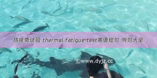 热疲劳试验 thermal fatigue test英语短句 例句大全