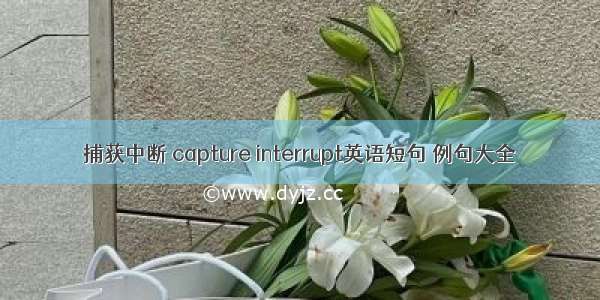 捕获中断 capture interrupt英语短句 例句大全