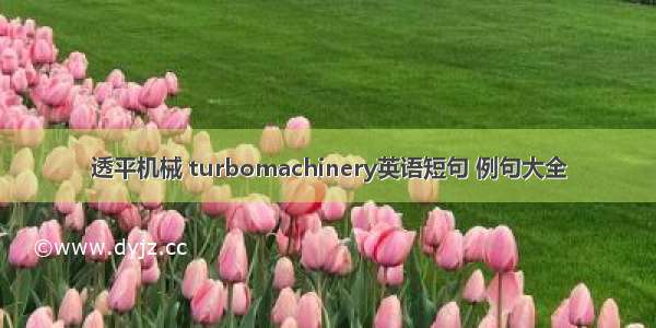 透平机械 turbomachinery英语短句 例句大全