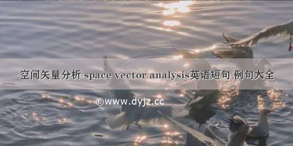 空间矢量分析 space vector analysis英语短句 例句大全