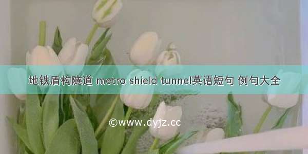 地铁盾构隧道 metro shield tunnel英语短句 例句大全