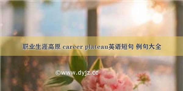 职业生涯高原 career plateau英语短句 例句大全