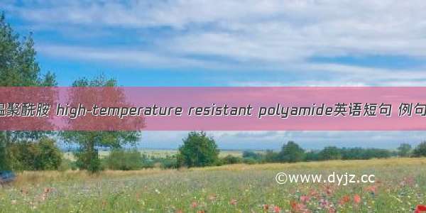 耐高温聚酰胺 high-temperature resistant polyamide英语短句 例句大全