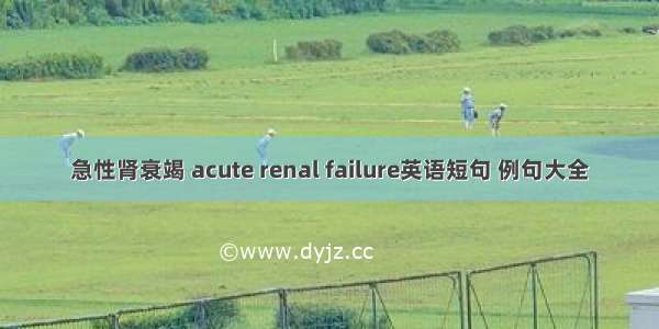 急性肾衰竭 acute renal failure英语短句 例句大全