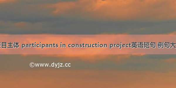 项目主体 participants in construction project英语短句 例句大全