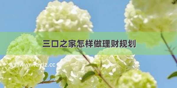 三口之家怎样做理财规划