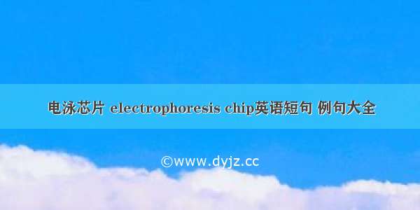 电泳芯片 electrophoresis chip英语短句 例句大全