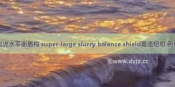 超大型泥水平衡盾构 super-large slurry balance shield英语短句 例句大全