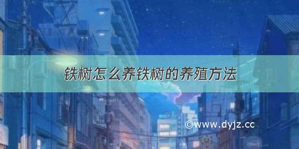 铁树怎么养铁树的养殖方法