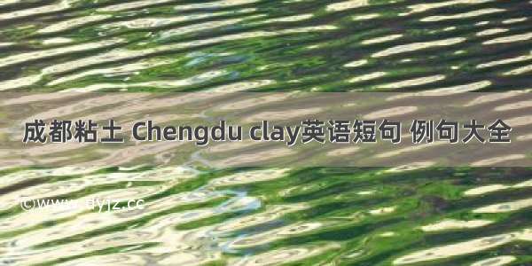 成都粘土 Chengdu clay英语短句 例句大全