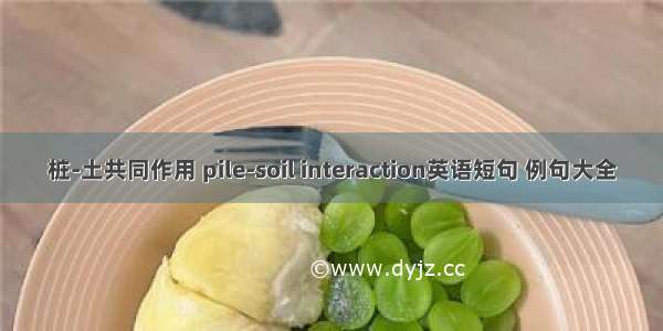 桩-土共同作用 pile-soil interaction英语短句 例句大全