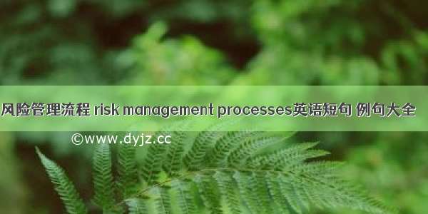 风险管理流程 risk management processes英语短句 例句大全