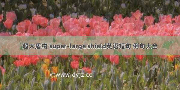 超大盾构 super-large shield英语短句 例句大全